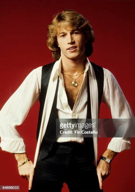 andy gibb photo|93 Andy Gibb Posed Stock Photos & High